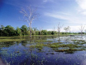 Tyto Wetlands - Kalgoorlie Accommodation 0