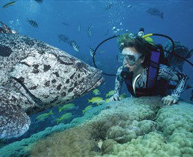 Pelorus Island - Kalgoorlie Accommodation 0