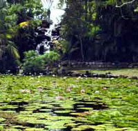 Queens Park Waterfall - Kalgoorlie Accommodation