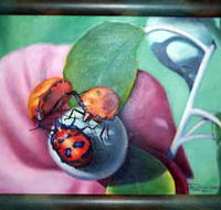 Kingaroy Shire Art Gallery - Kalgoorlie Accommodation