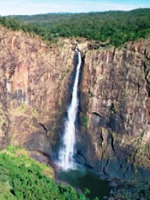 Gugigugi (Butterfly) Walk, Wet Tropics Great Walk - Kalgoorlie Accommodation 0