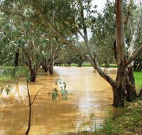 Saddliers Waterhole and Hamburg Creek - Kalgoorlie Accommodation