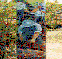 Alpha Murals - Kalgoorlie Accommodation