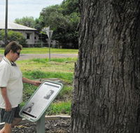 Augathella Kenniff Tree - Kalgoorlie Accommodation