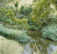 Yarrambat Park - Kalgoorlie Accommodation