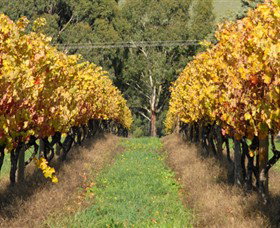 Wild Dog Winery & Restaurant - Kalgoorlie Accommodation 0