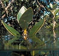 Jawbone Marine Sanctuary - Kalgoorlie Accommodation