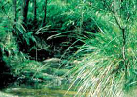 Barrys Reef VIC Kalgoorlie Accommodation