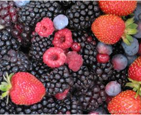 Boonah VIC Kalgoorlie Accommodation