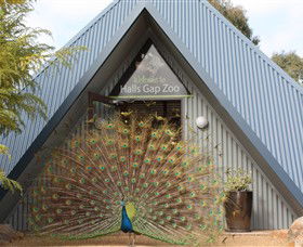 Halls Gap Zoo - Kalgoorlie Accommodation 0