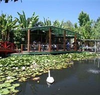 Blue Lotus Water Garden - Kalgoorlie Accommodation