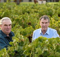 Campbells Wines