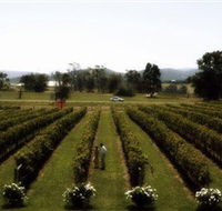 Rochford Wines - Kalgoorlie Accommodation