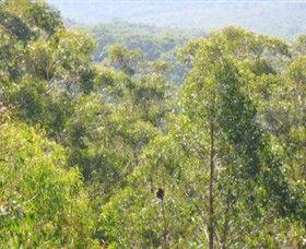 Bunyip State Park - Kalgoorlie Accommodation 0