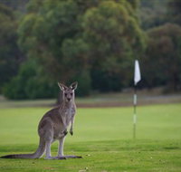 Anglesea Golf Club - Kalgoorlie Accommodation