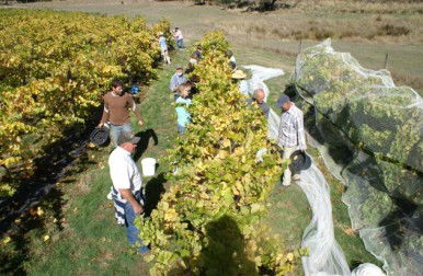 Blakes Estate Winery - Kalgoorlie Accommodation 0