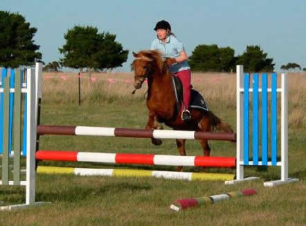 Saddle On Riding School - Kalgoorlie Accommodation 5