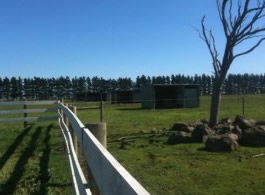Saddle On Riding School - Kalgoorlie Accommodation 6