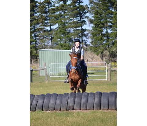 Saddle On Riding School - Kalgoorlie Accommodation 9
