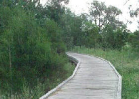 Shepherds Bush - Kalgoorlie Accommodation 0