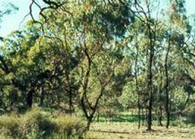 Appin South VIC Kalgoorlie Accommodation