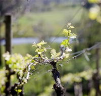 Lindemans Karadoc Winery - Kalgoorlie Accommodation