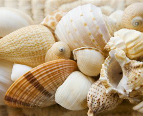 Anglesea Beach Club - Kalgoorlie Accommodation 0