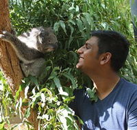 Healesville Sanctuary - Kalgoorlie Accommodation