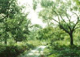 Holey Plains State Park - Kalgoorlie Accommodation 0