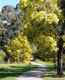 Surrey Hills VIC Kalgoorlie Accommodation