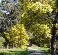 Wattle Park - Kalgoorlie Accommodation