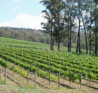 Piedmont Vineyard - Kalgoorlie Accommodation