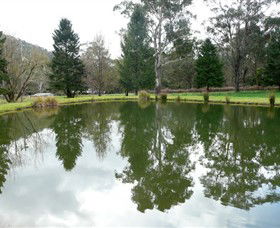 Harrietville VIC Kalgoorlie Accommodation