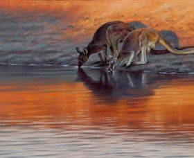 Steve Morvell Wildlife Art - Kalgoorlie Accommodation 0