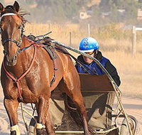 Ballarat  District Trotting Club - Kalgoorlie Accommodation