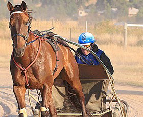 Ballarat & District Trotting Club - Kalgoorlie Accommodation 0
