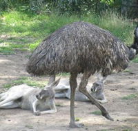 Bundoora Park - Kalgoorlie Accommodation