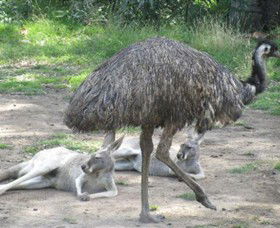 Bundoora Park - Kalgoorlie Accommodation 0