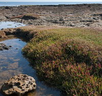 Ricketts Point Marine Sanctuary - Kalgoorlie Accommodation