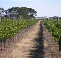 Mount Beckworth Wines - Kalgoorlie Accommodation