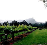 Cambewarra Estate Wines - Kalgoorlie Accommodation