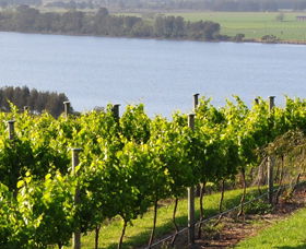 Two Figs Winery - Kalgoorlie Accommodation 0