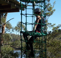 Trees Adventure Shoalhaven - Kalgoorlie Accommodation