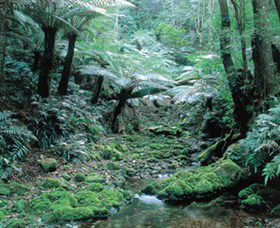 Deua National Park - Kalgoorlie Accommodation 0