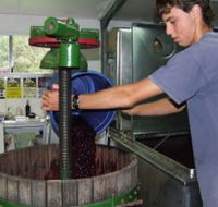 Fern Gully Winery - Kalgoorlie Accommodation