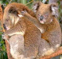 Shoalhaven Zoo - Kalgoorlie Accommodation