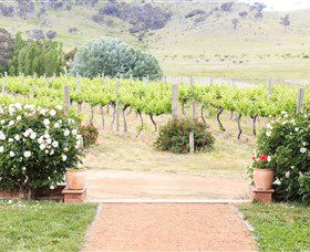 Brindabella Hills Winery - Kalgoorlie Accommodation 0