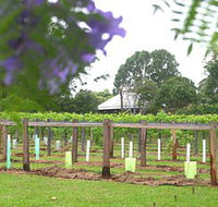 Douglas Vale Historic Homestead  Vineyard - Kalgoorlie Accommodation