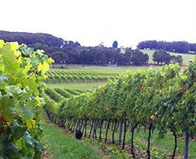 Exeter NSW Kalgoorlie Accommodation