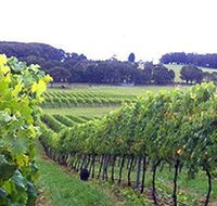 Banjo's Run Winery and Vineyard - Kalgoorlie Accommodation